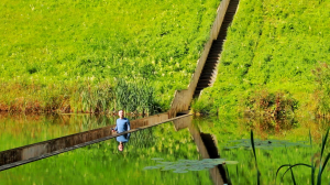 Moses Bridge